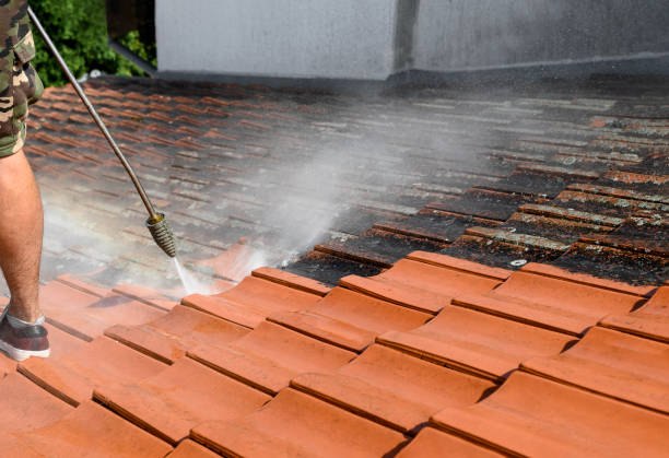 Best Deck Cleaning Services  in Monongah, WV