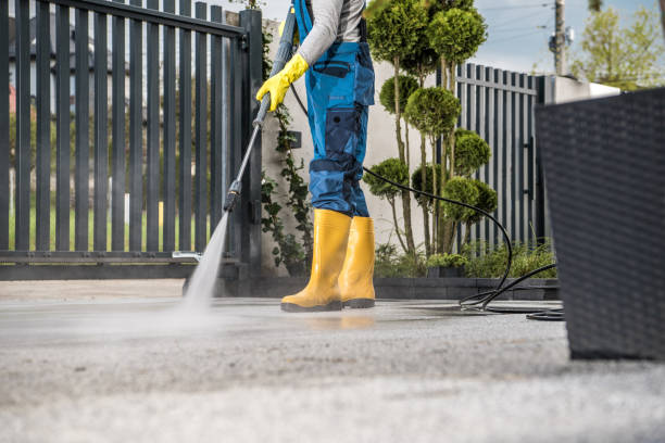 Best Roof Pressure Washing  in Monongah, WV