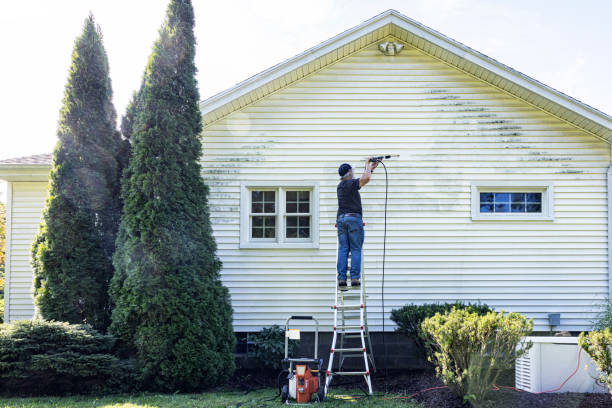 Best Fence Pressure Washing  in Monongah, WV