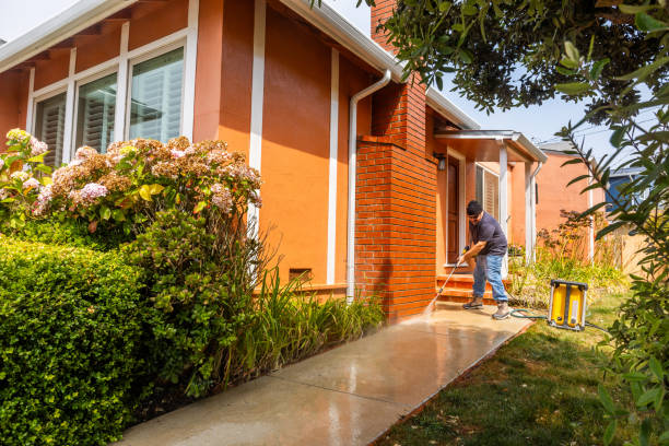 Best Roof Power Washing Services  in Monongah, WV