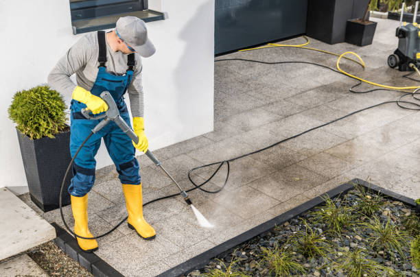 Best Pressure Washing Near Me  in Monongah, WV